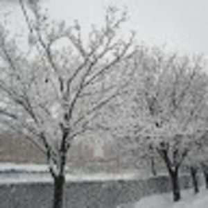 Meet your Posher, Younoussa